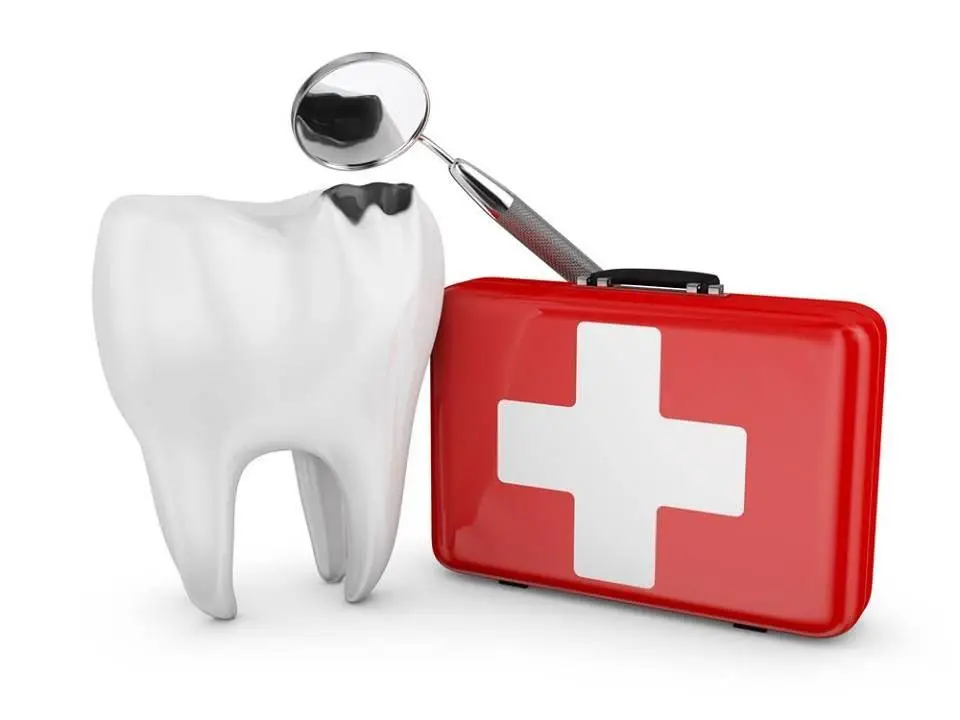 Bash Dental