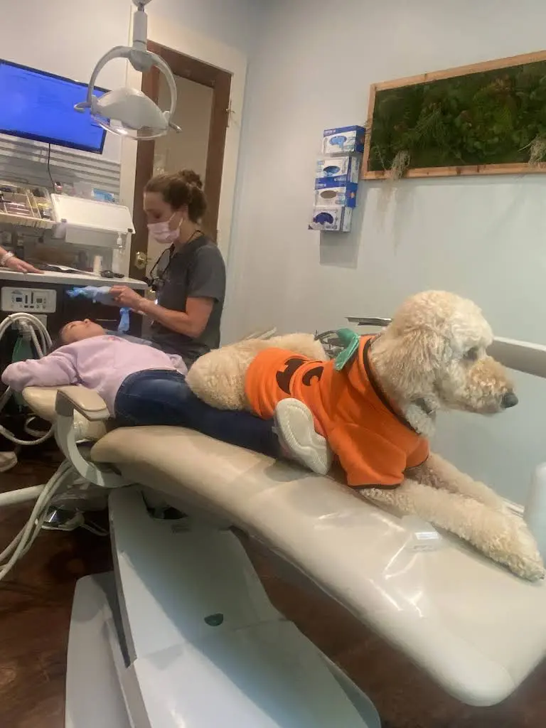 Columbia Children's Dentistry