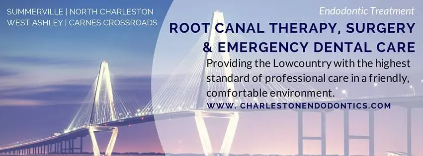 Charleston Endodontics