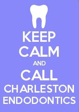 Charleston Endodontics
