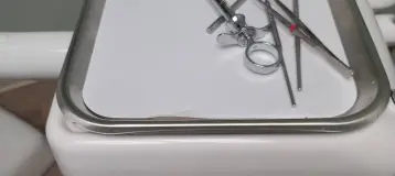 Dental Care of Berlin