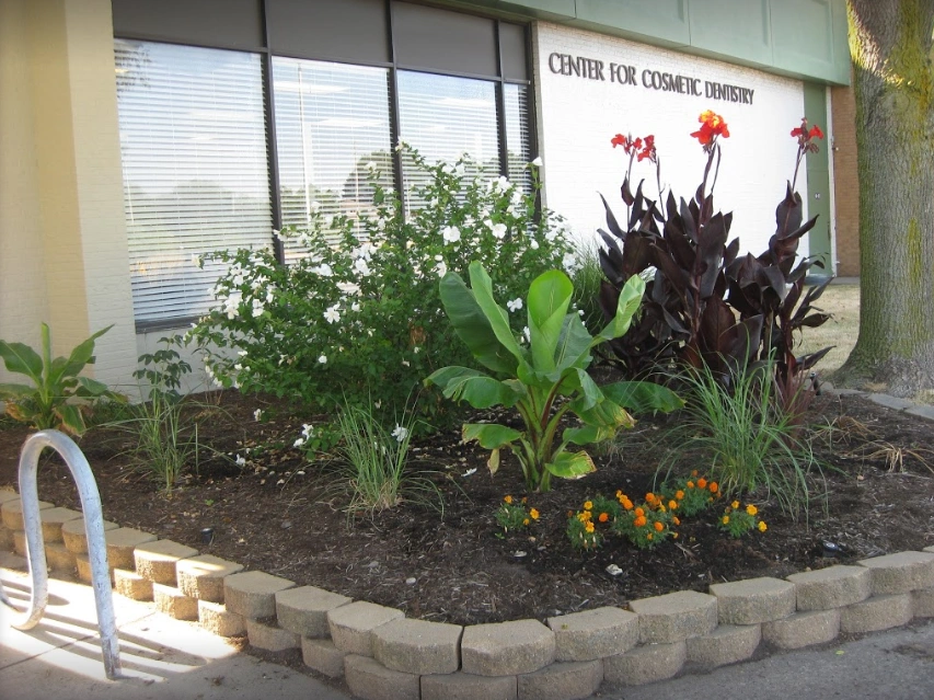 Center for Cosmetic Dentistry