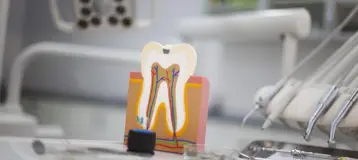 Castor Dental Care