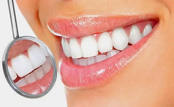 Bisignano, Stone, and Eckel Family Dentistry