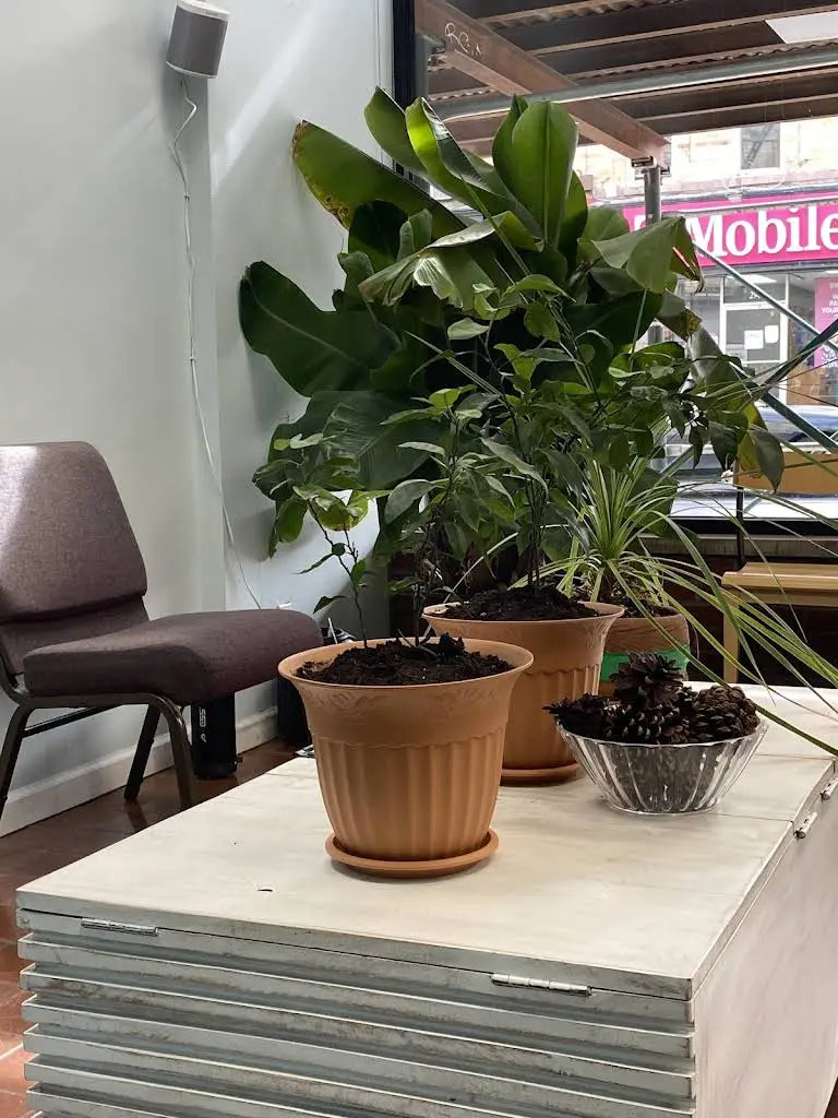 Bushwick Dental Group, P.C.