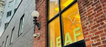 Leaf Dental