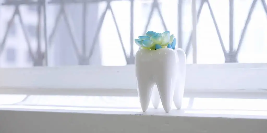 NYC Smile Spa