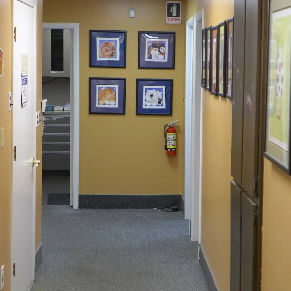Children's Dental Center of Monmouth