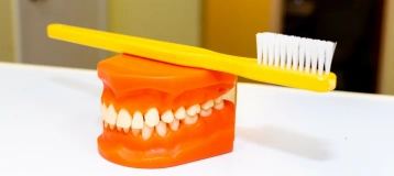 Mitnick Dental