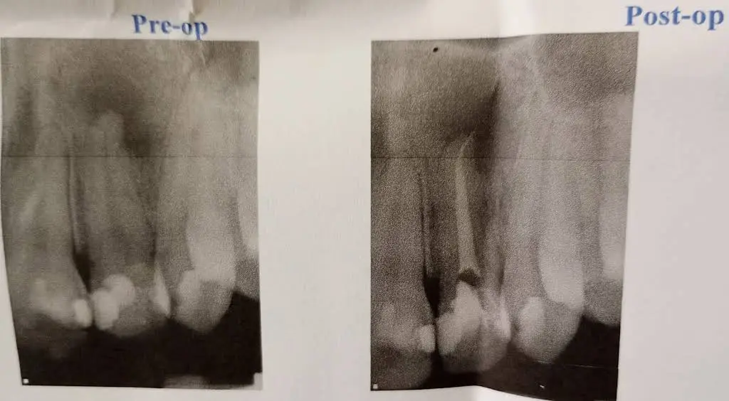 Queens County Endodontics - Professional dental clinic exterior with modern facilities