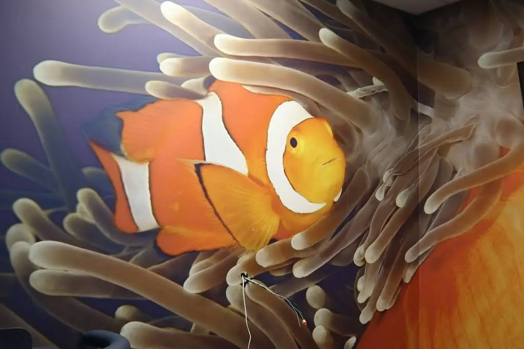 Kiddsmiles Pediatric Dentistry