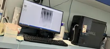 Empress Dental Services