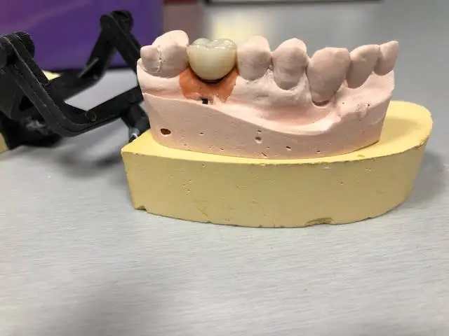 Vitruvian Dental Arts