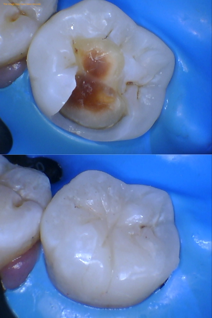 Dental Korner