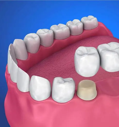 Dr. Julie Liberman, DDS PC