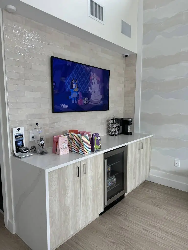 Small Wonders Pediatric Dentistry