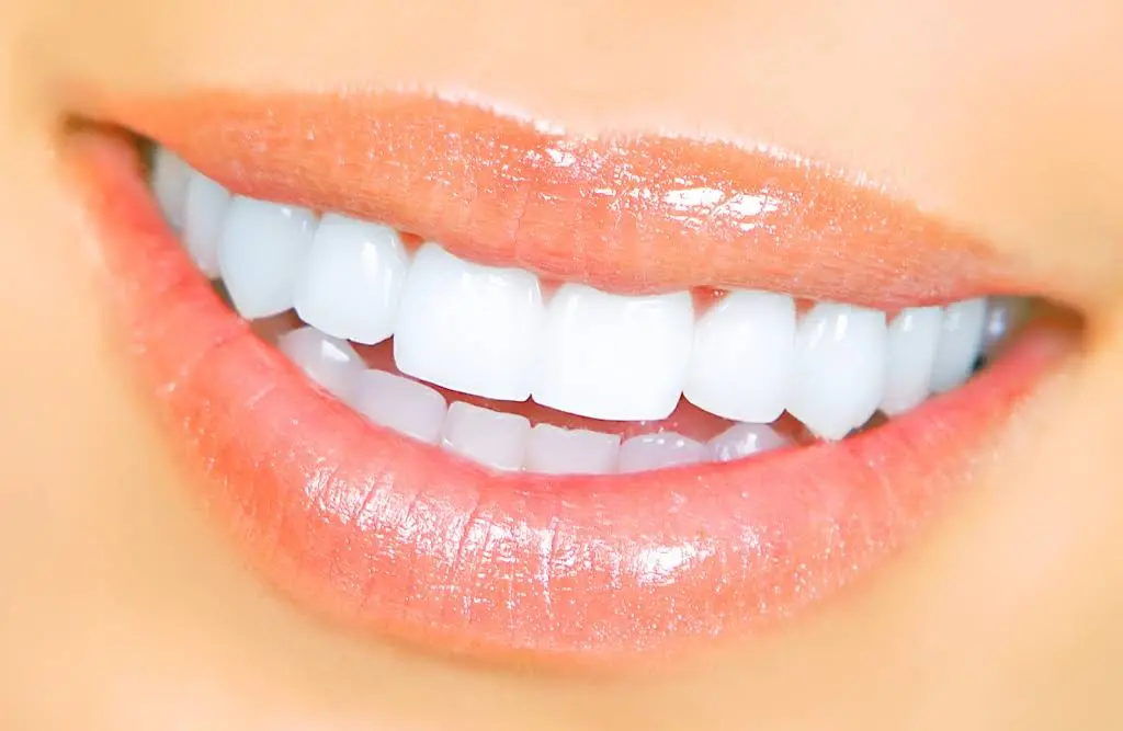 Howard F Matt, DMD - Syosset Cosmetic Dentistry