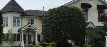 Tornatore Family Dental