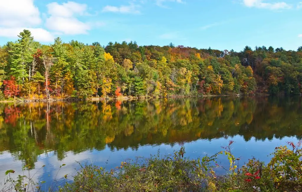 Endodontics of The Hudson Valley