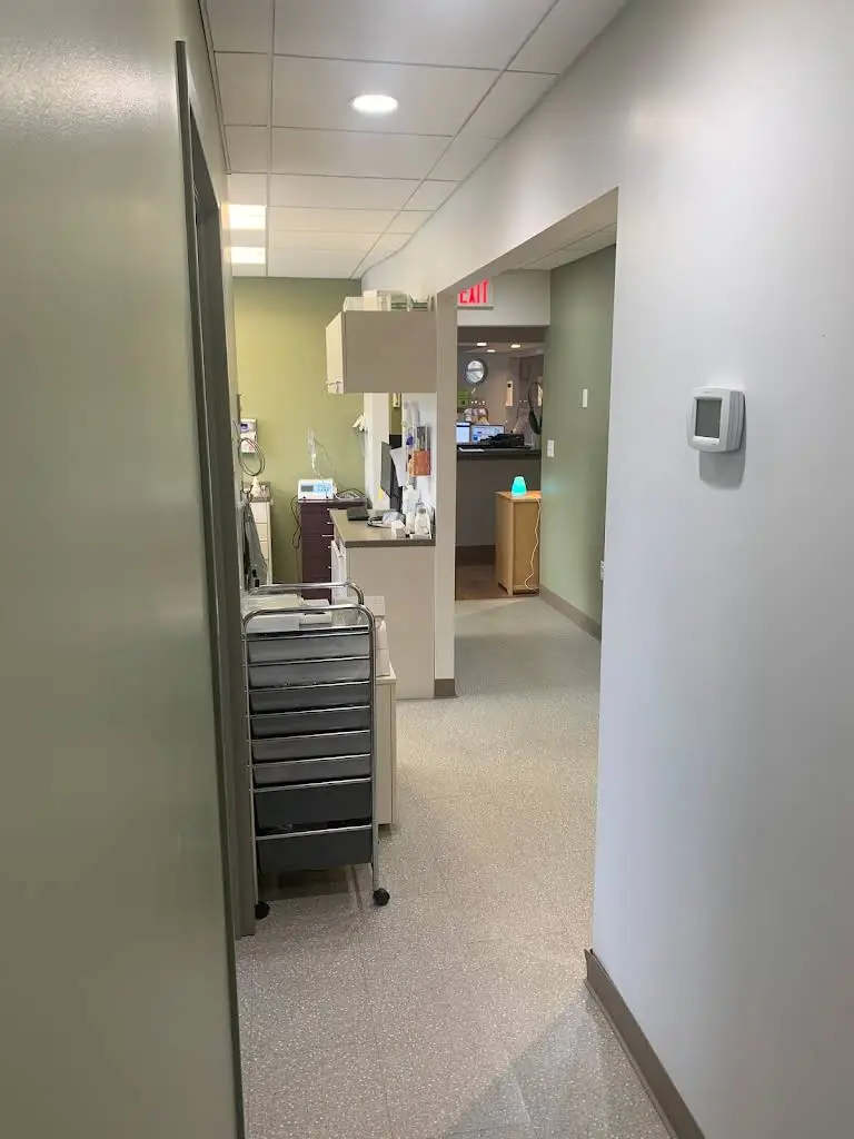 Supreme Dentist Stamford - Dental Implant Specialist and Emergency Dentist