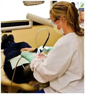 Comprehensive Dental Group