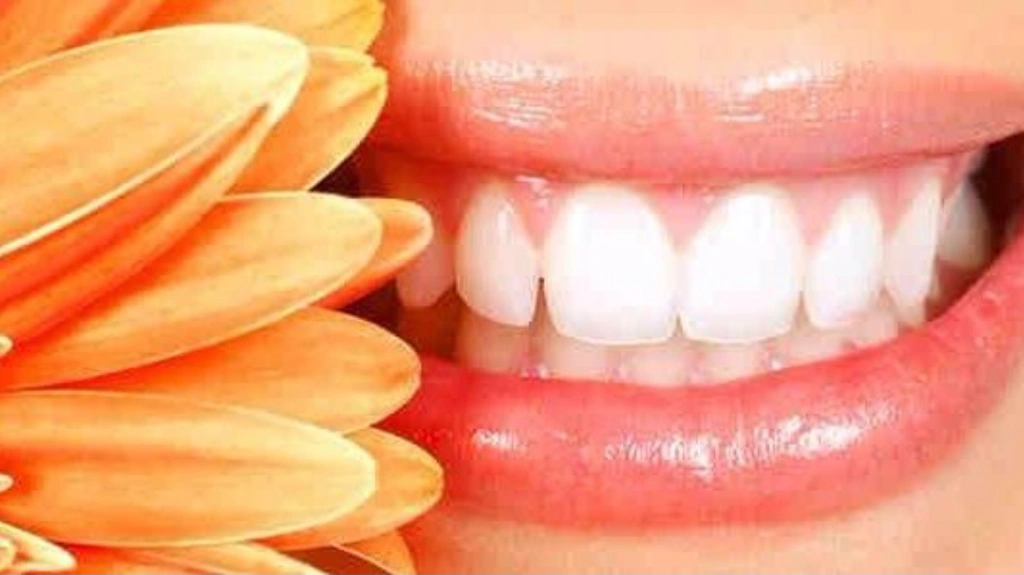Hauppauge Family Dental Care - Professional dental clinic exterior with modern facilities