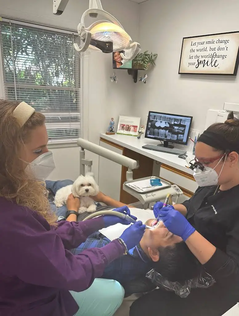 Bohemia Dental Arts