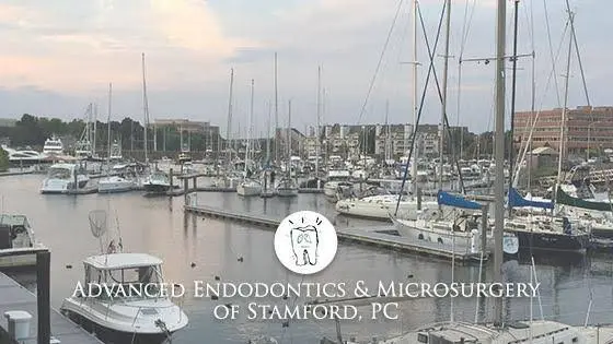 Advanced Endodontics & Microsurgery of Stamford PC - Professional dental clinic exterior with modern facilities