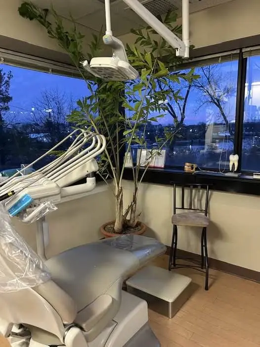 Daniel N. Minchik, DDS