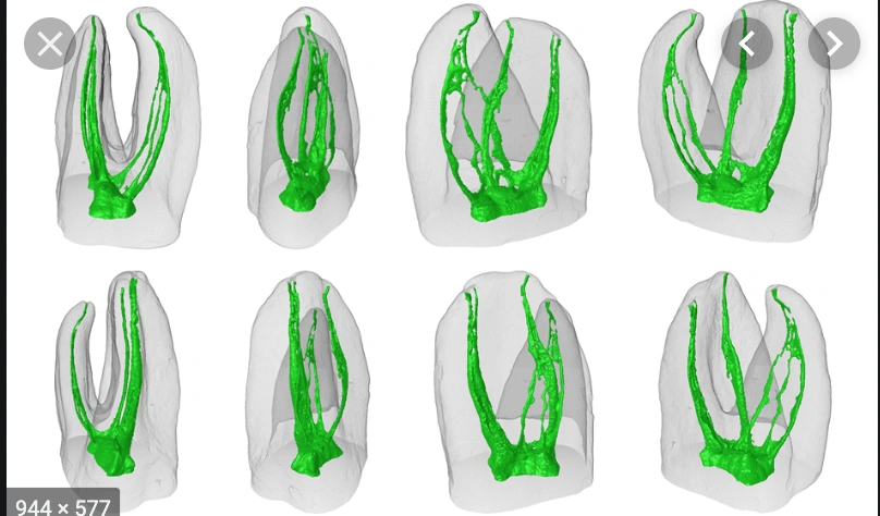 Hudson Valley Endodontics