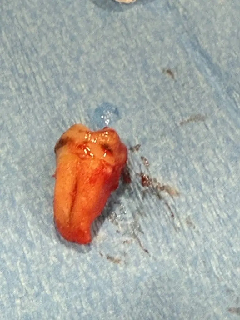 Leading Edge Oral Surgery Centereach