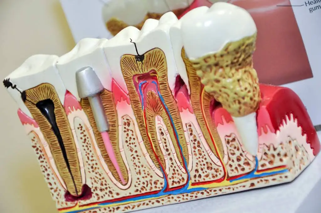 Dr. Dental: Dentistry & Braces