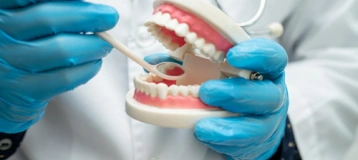 1-800-DENTIST