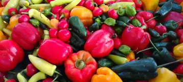 Community Health Programs Inc