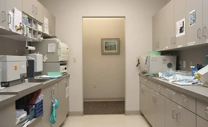 New Haven Dental Group