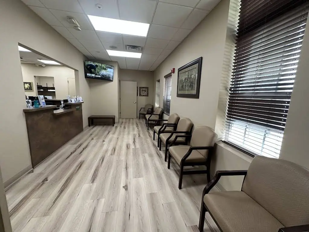 Dental365