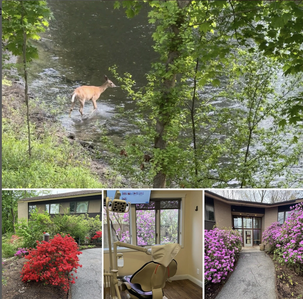 Western Mass Periodontics