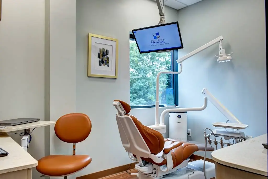 Blue Back Dental - Professional dental clinic exterior with modern facilities