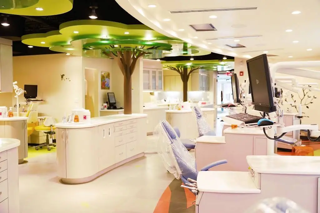 Elm Tree Orthodontics - Professional dental clinic exterior with modern facilities