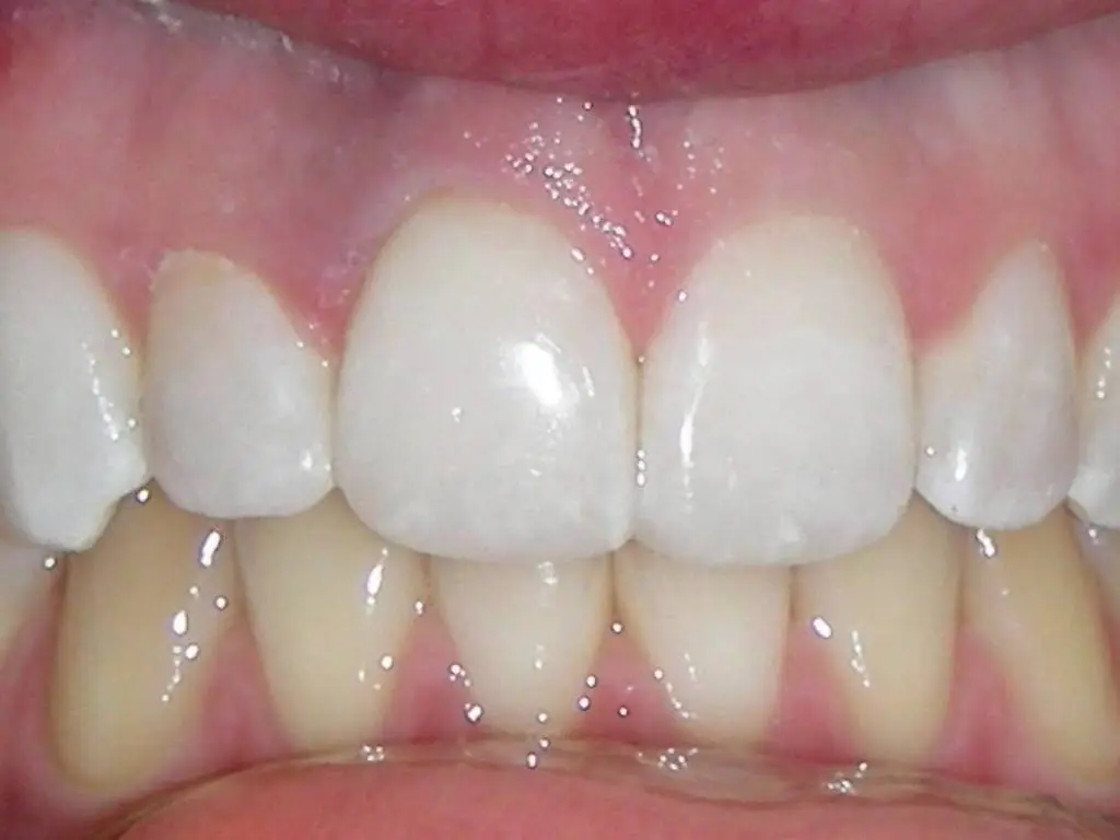 Downtown New Haven Dental