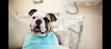 West Hartford Dental Associates
