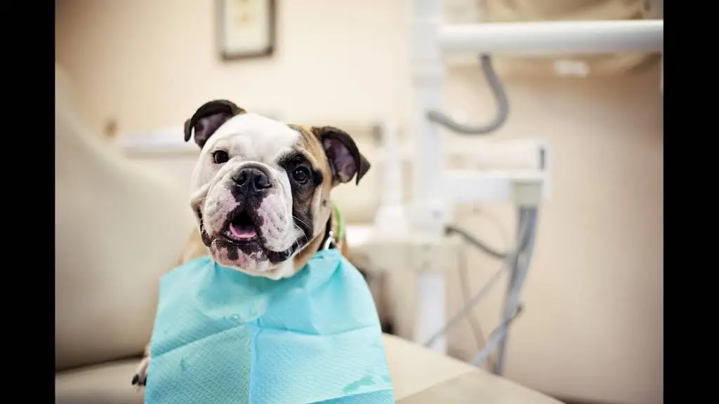 West Hartford Dental Associates - Professional dental clinic exterior with modern facilities