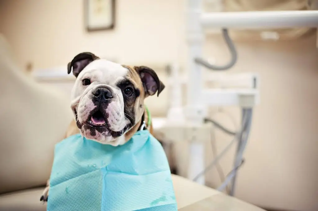 West Hartford Dental Associates