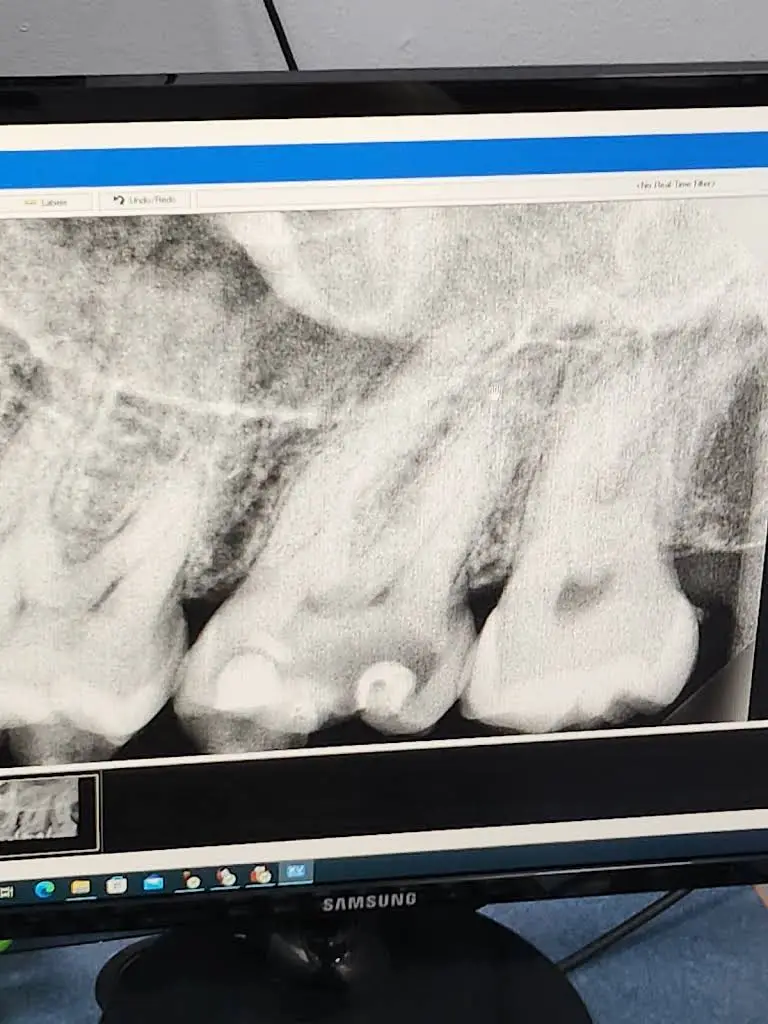Dr. Dental: Dentistry & Braces