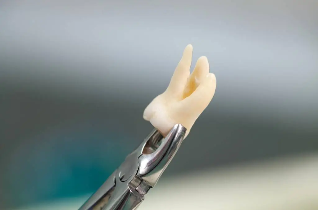 Cavalieri Dental