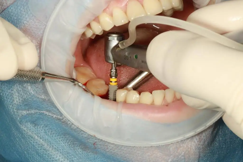 Orchard Family Dental LLC