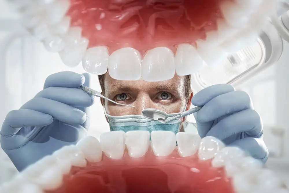 Orchard Family Dental LLC
