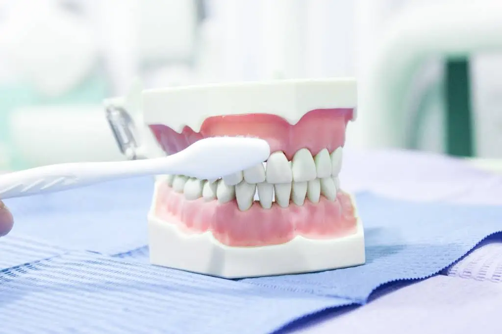 Orchard Family Dental LLC