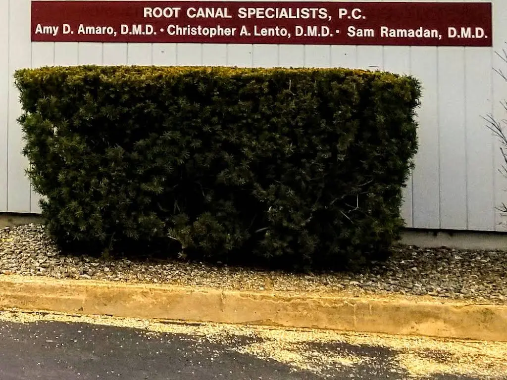 Root Canal Specialists, P.C.
