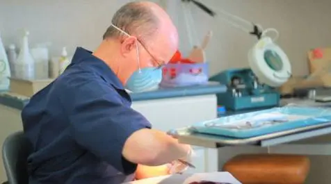 East Lyme Orthodontics, INC